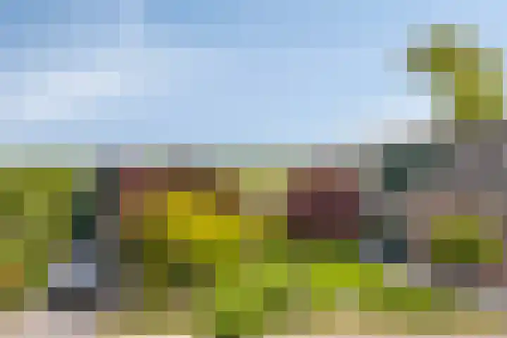Krommeniedijk 43 Krommenie thumbnail 50