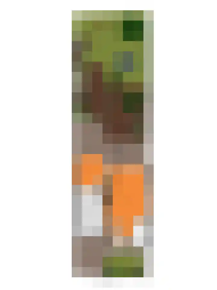 Krommeniedijk 43 Krommenie thumbnail 55