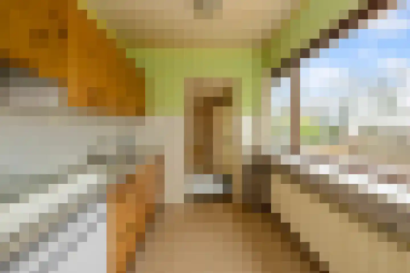 Krommeniedijk 69 Krommenie thumbnail 11
