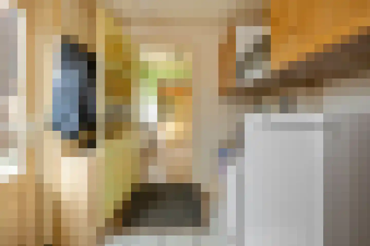 Krommeniedijk 69 Krommenie thumbnail 13