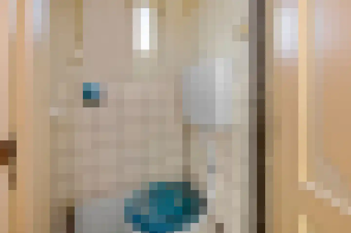 Krommeniedijk 69 Krommenie thumbnail 15