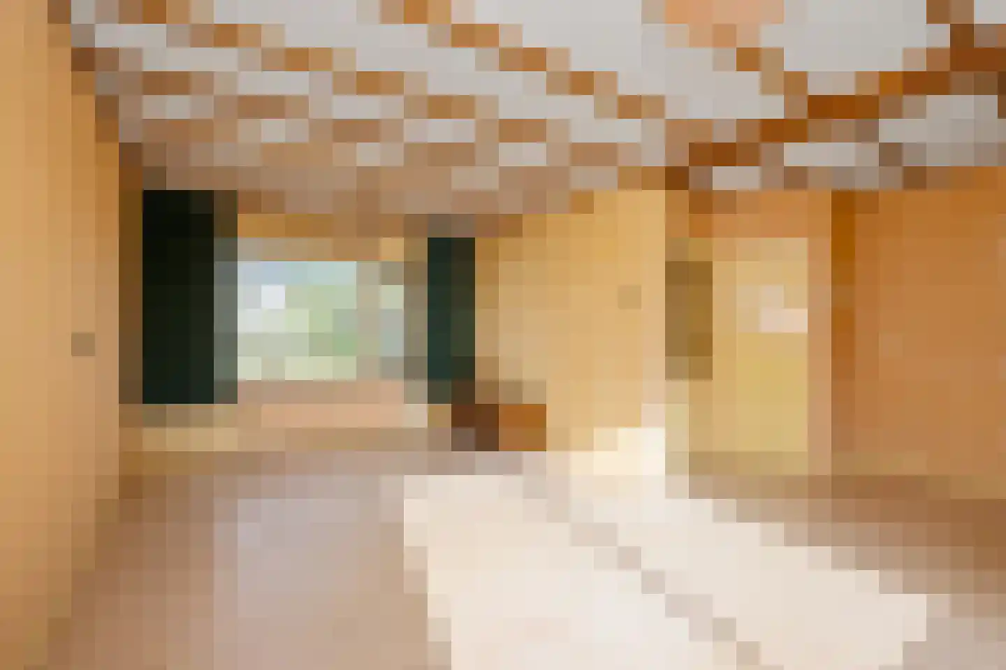 Krommeniedijk 69 Krommenie foto 3