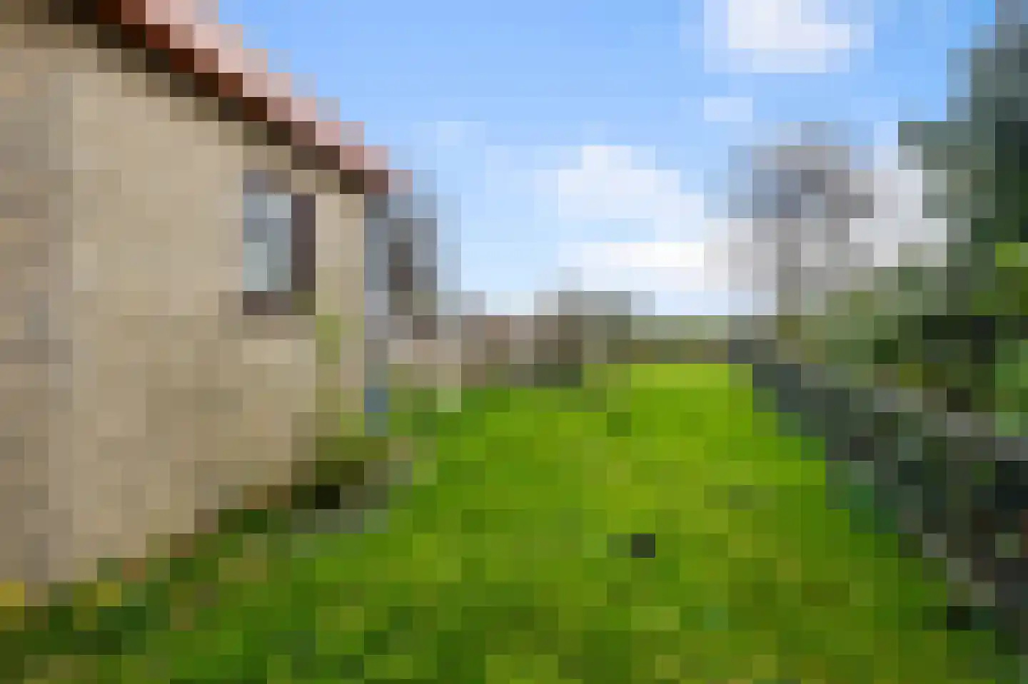 Krommeniedijk 69 Krommenie thumbnail 31