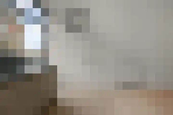 Krommenieërpad 100 A Wormerveer thumbnail 12