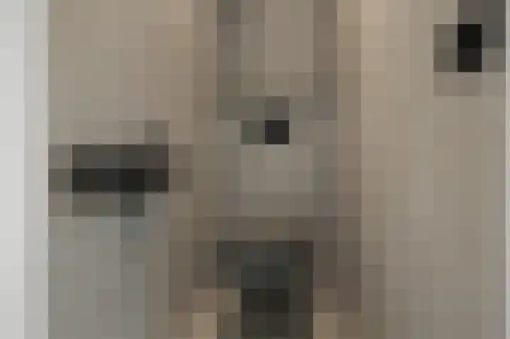 Krommenieërpad 100 A Wormerveer thumbnail 16