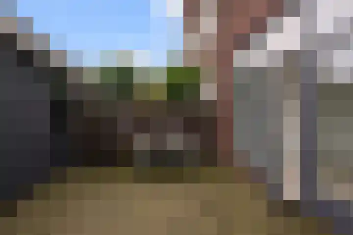 Krommenieërpad 100 A Wormerveer thumbnail 24