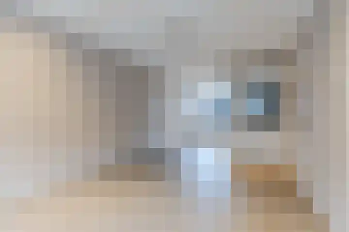 Krommenieërpad 113 Wormerveer thumbnail 11