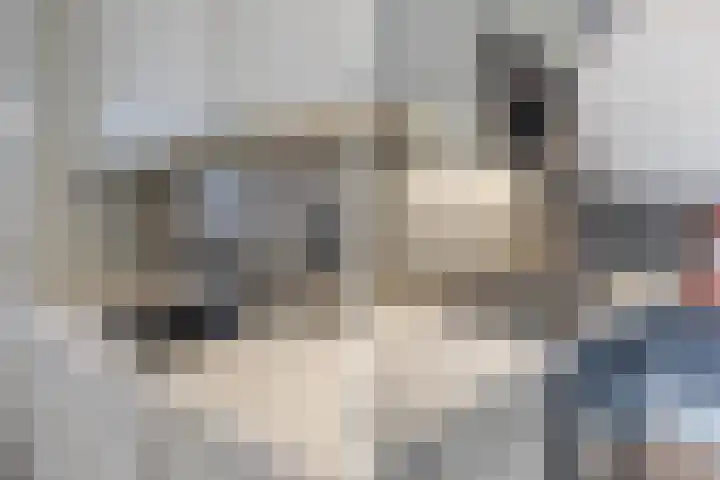 Krommenieërpad 113 Wormerveer thumbnail 14