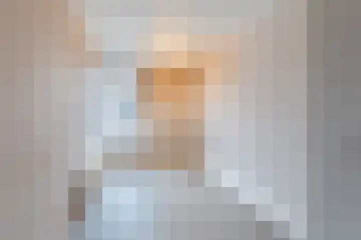 Krommenieërpad 113 Wormerveer thumbnail 4