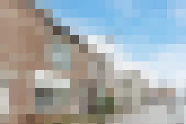 Krommenieërpad 113 Wormerveer thumbnail 5