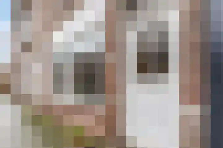 Krommenieërpad 113 Wormerveer thumbnail 6