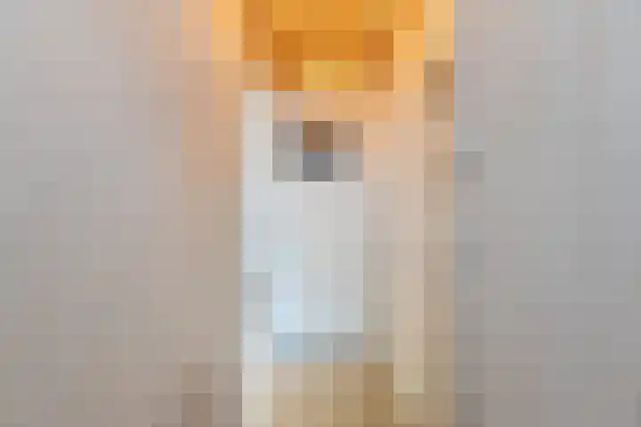 Krommenieërpad 113 Wormerveer thumbnail 8