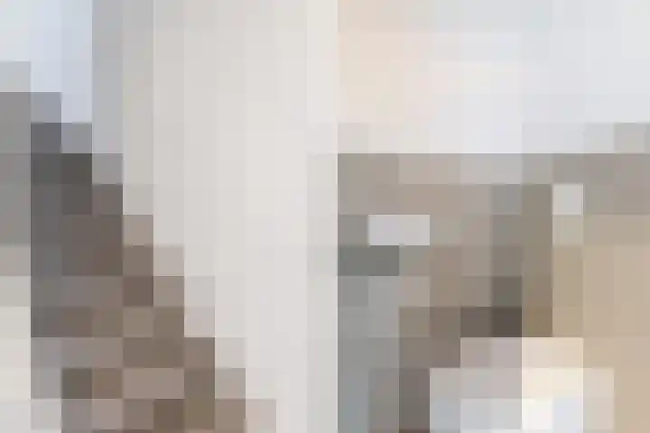Krommenieërpad 113 Wormerveer thumbnail 9