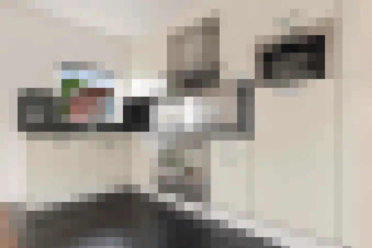 Krommenieërpad 176 B Wormerveer thumbnail 15