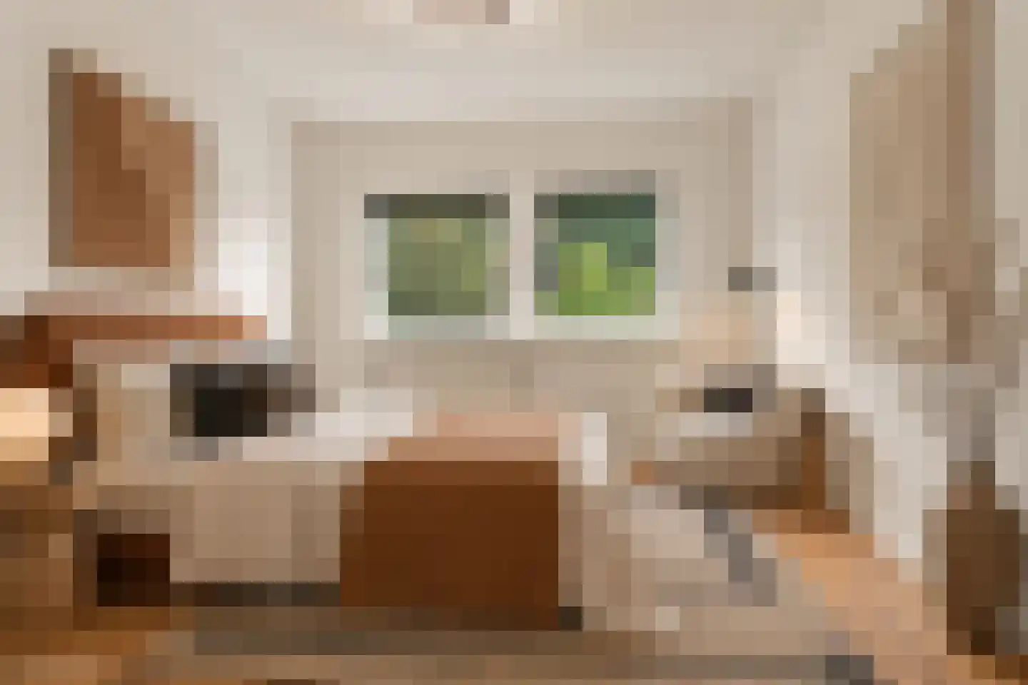 Krommenieërpad 176 B Wormerveer thumbnail 23