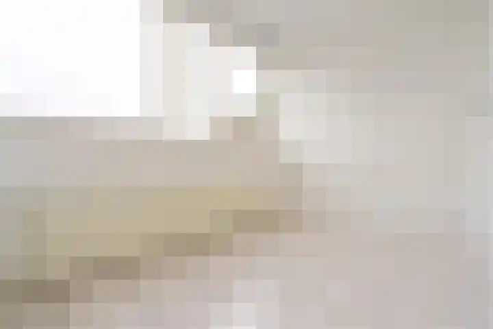 Krommenieërpad 178 Wormerveer thumbnail 18