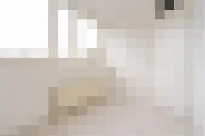 Krommenieërpad 178 Wormerveer thumbnail 21