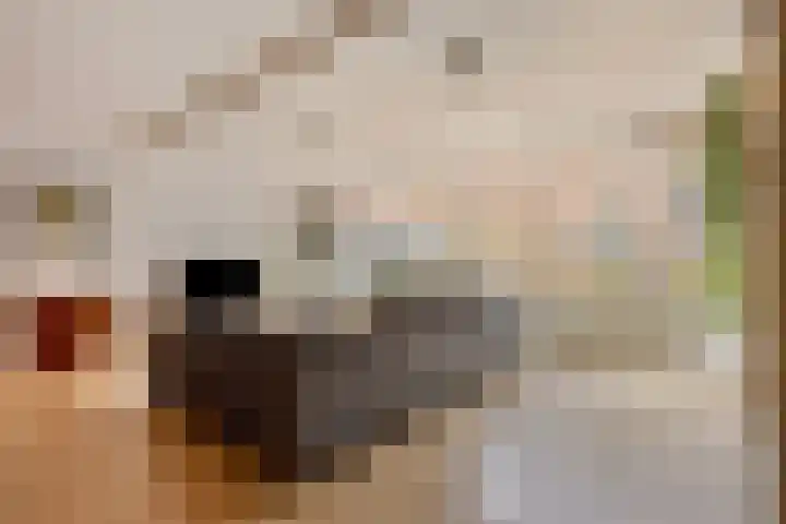 Krommenieërpad 21 Wormerveer thumbnail 10