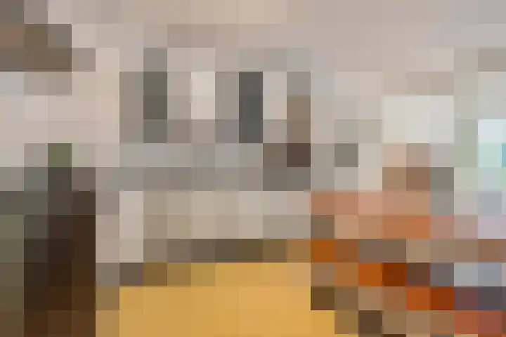 Krommenieërpad 21 Wormerveer thumbnail 13
