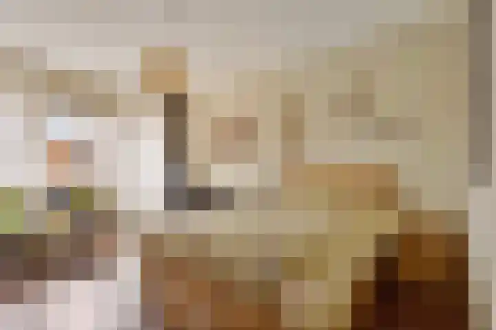 Krommenieërpad 21 Wormerveer thumbnail 17