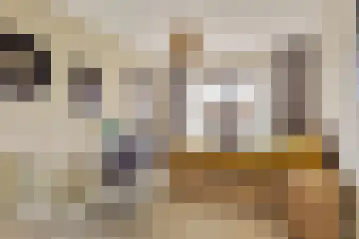 Krommenieërpad 21 Wormerveer thumbnail 21
