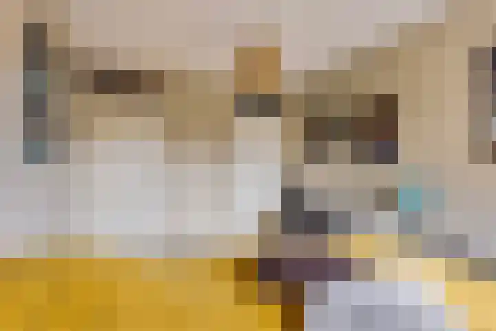 Krommenieërpad 21 Wormerveer thumbnail 22