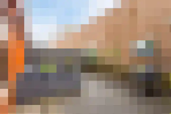 Krommenieërpad 21 Wormerveer thumbnail 24