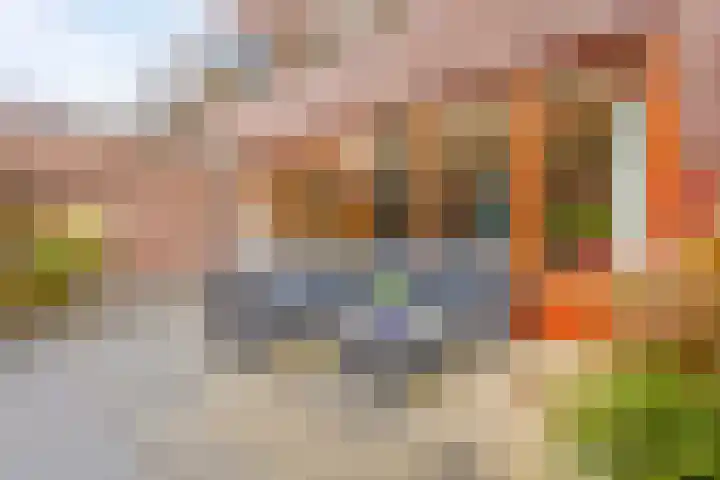 Krommenieërpad 21 Wormerveer thumbnail 25