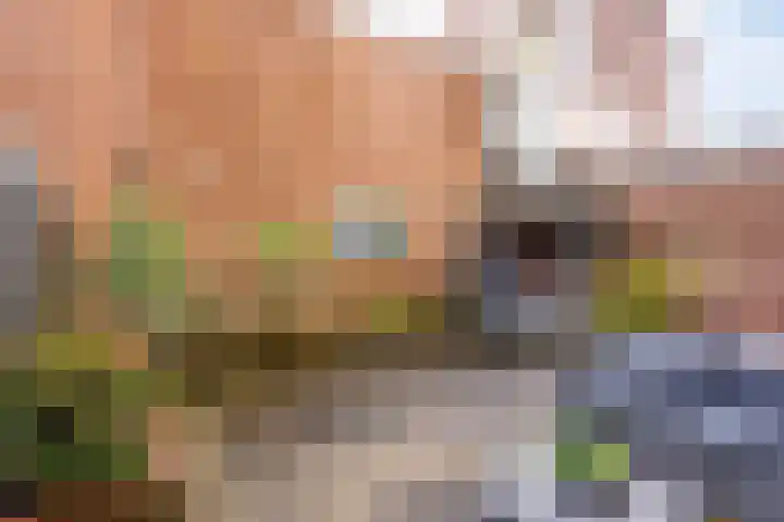 Krommenieërpad 21 Wormerveer thumbnail 26