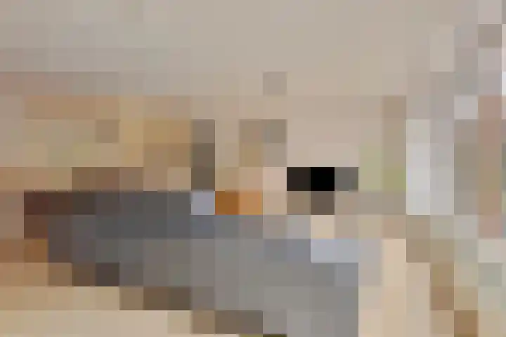 Krommenieërpad 21 Wormerveer thumbnail 9