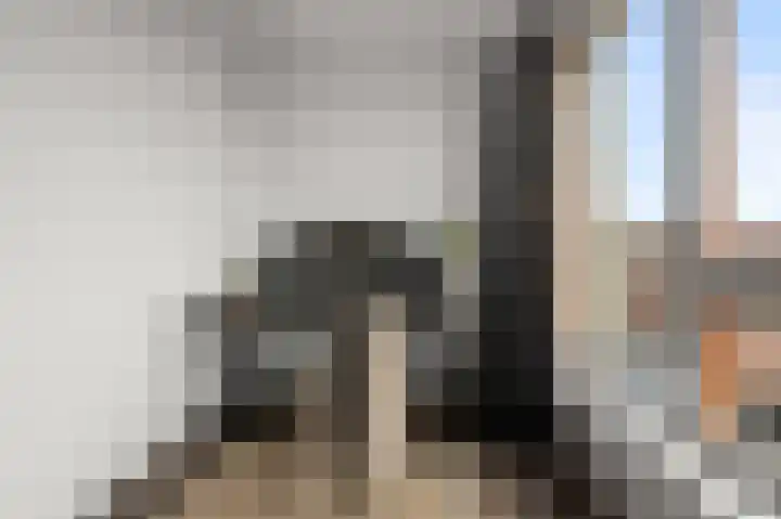 Krommenieërpad 59 Wormerveer thumbnail 16