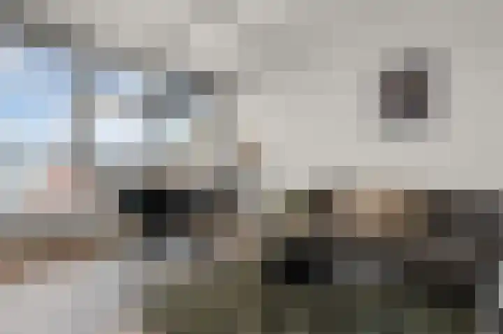 Krommenieërpad 59 Wormerveer thumbnail 6
