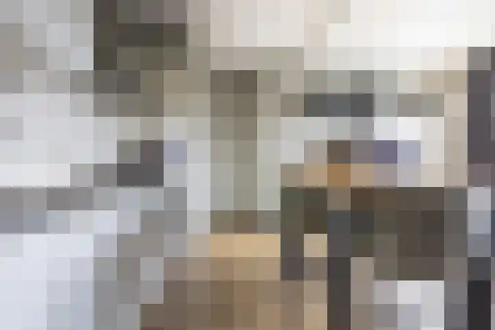 Krommenieërpad 73 Wormerveer thumbnail 11