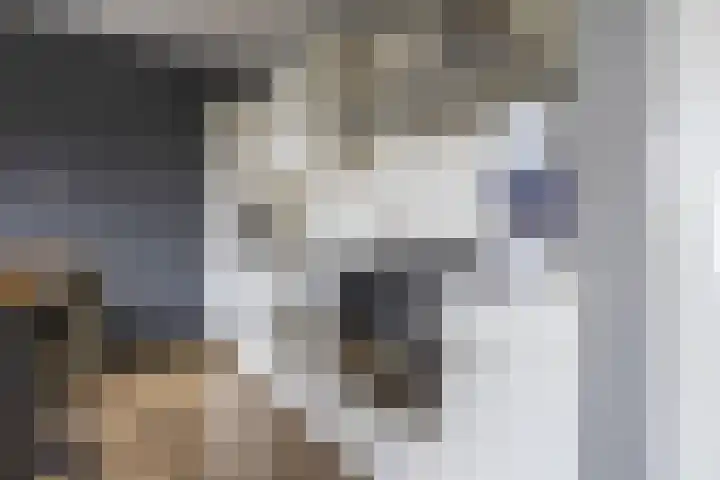 Krommenieërpad 73 Wormerveer thumbnail 12