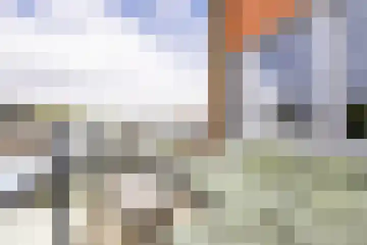 Krommenieërpad 73 Wormerveer thumbnail 13