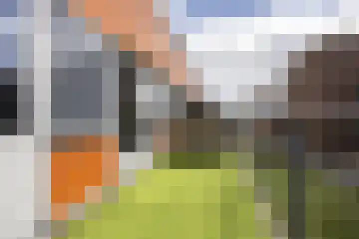Krommenieërpad 73 Wormerveer thumbnail 15