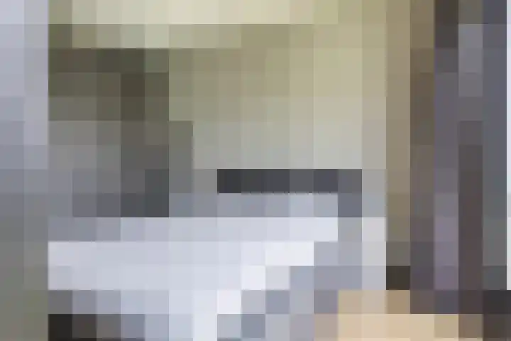Krommenieërpad 73 Wormerveer thumbnail 17