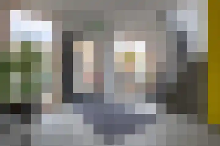 Krommenieërpad 73 Wormerveer thumbnail 28