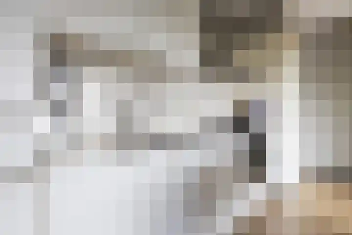 Krommenieërpad 73 Wormerveer thumbnail 4