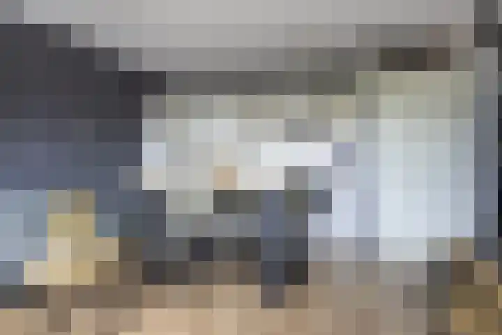 Krommenieërpad 73 Wormerveer thumbnail 7
