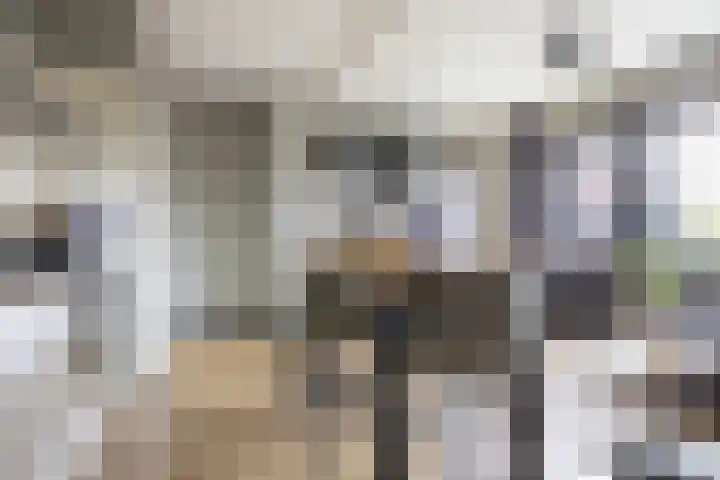 Krommenieërpad 73 Wormerveer thumbnail 9