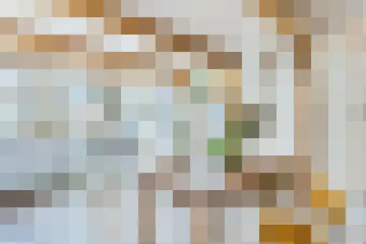 Krommenieërpad 82 Wormerveer thumbnail 10