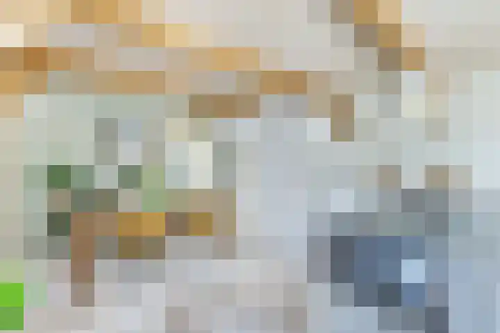 Krommenieërpad 82 Wormerveer thumbnail 13