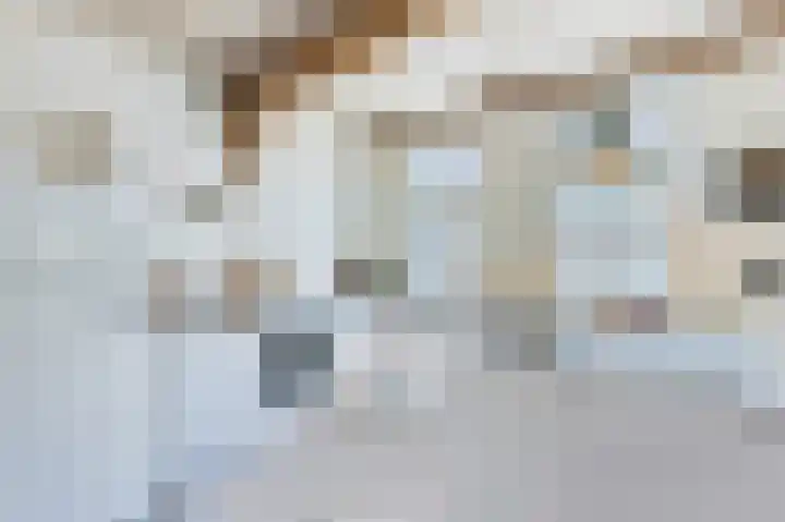 Krommenieërpad 82 Wormerveer thumbnail 14