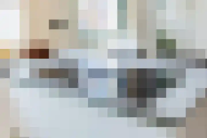 Krommenieërpad 82 Wormerveer thumbnail 16