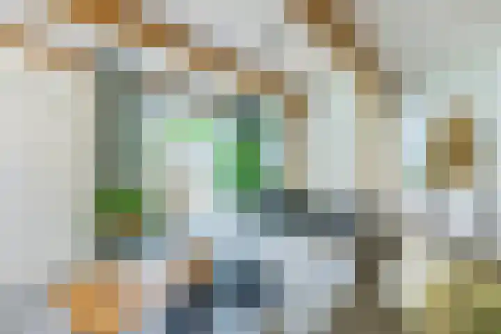Krommenieërpad 82 Wormerveer thumbnail 20