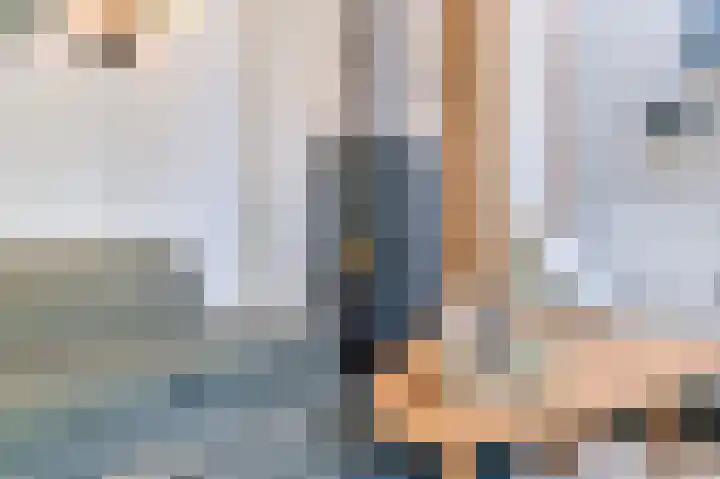 Krommenieërpad 82 Wormerveer thumbnail 22