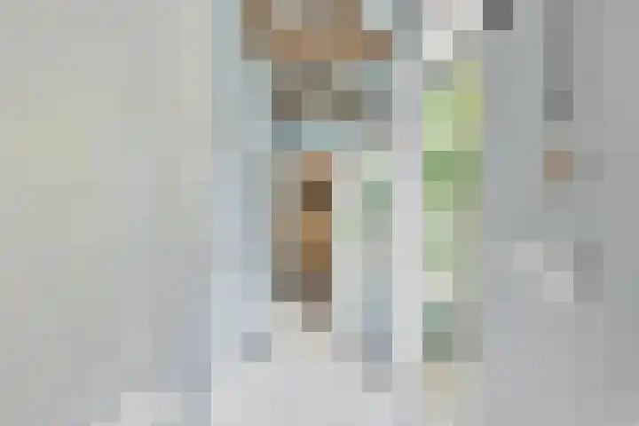 Krommenieërpad 82 Wormerveer thumbnail 24