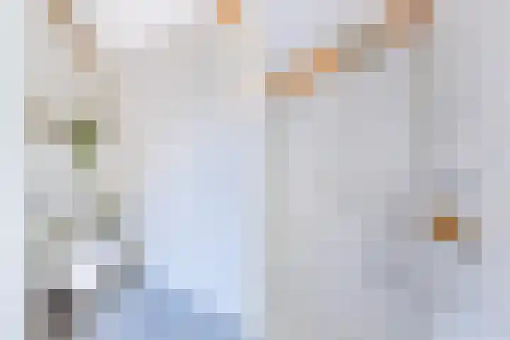 Krommenieërpad 82 Wormerveer thumbnail 26