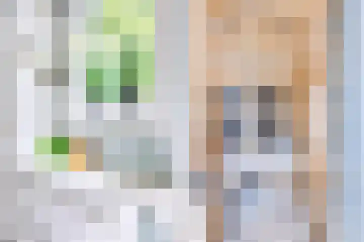 Krommenieërpad 82 Wormerveer thumbnail 27